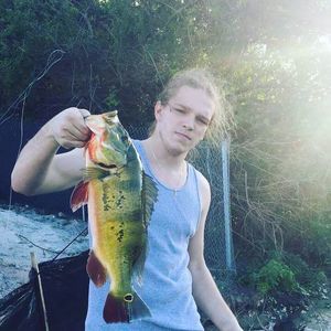 Meet your Posher, Dylan